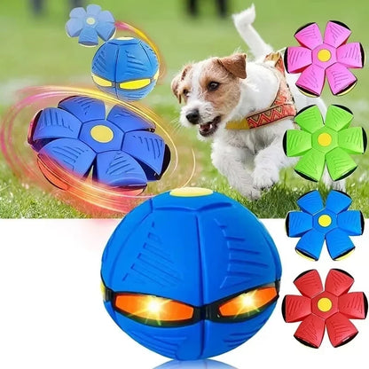 Transforming Magic Flying Disc Ball | Outdoor Dual-Purpose Pet & Kids Toy