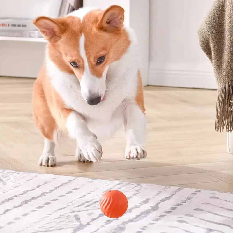 Smart Automatic Moving Dog Toy Ball | USB Rechargeable Interactive