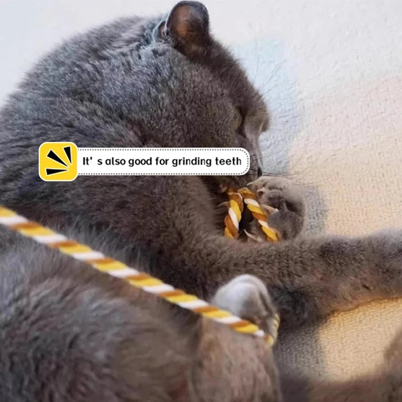 Interactive Cats Toys – Long Satin Ribbon Cat Teaser Rod