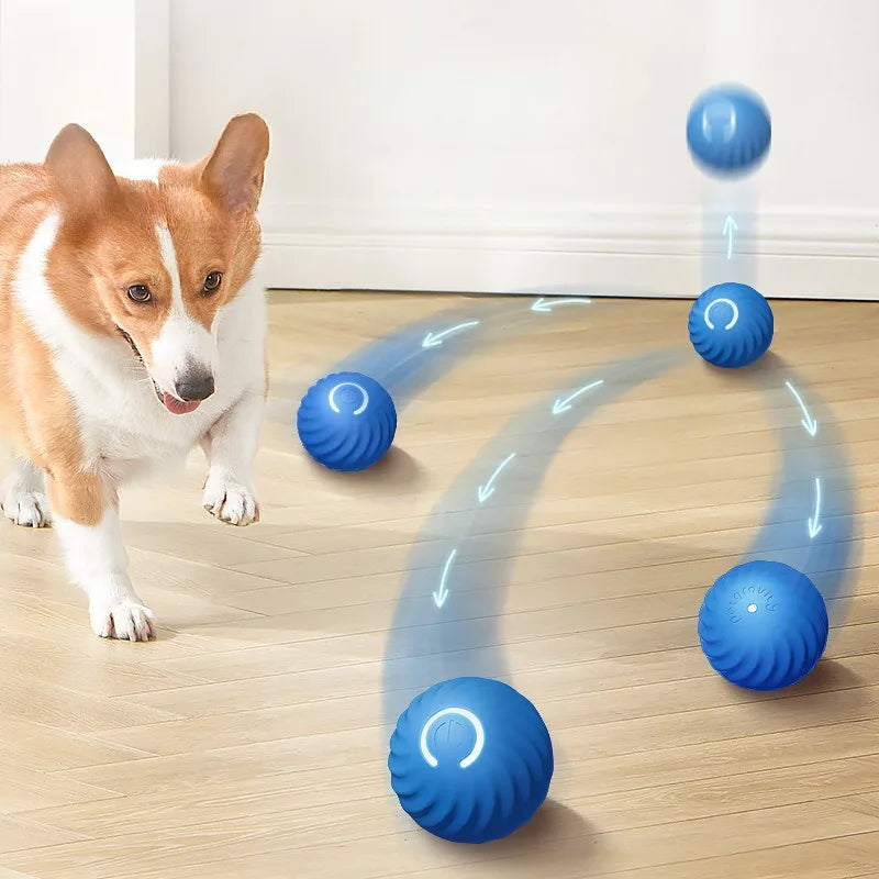 Smart Automatic Moving Dog Toy Ball | USB Rechargeable Interactive