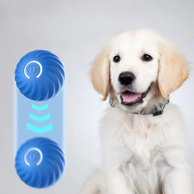 Smart Automatic Moving Dog Toy Ball | USB Rechargeable Interactive