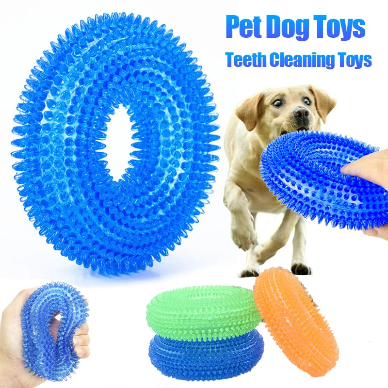 Extreme Chewer Molar Toy | Durable, Non-Toxic Rubber with Squeaker